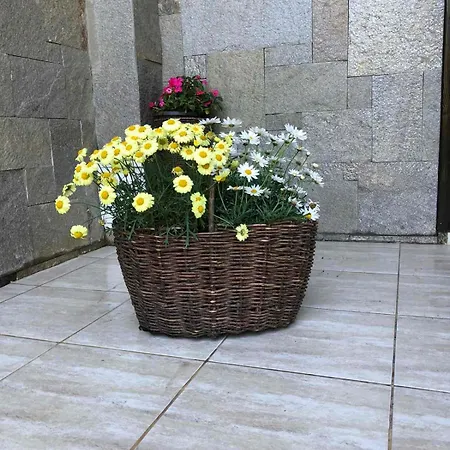 стела 빌라 시네모레츠