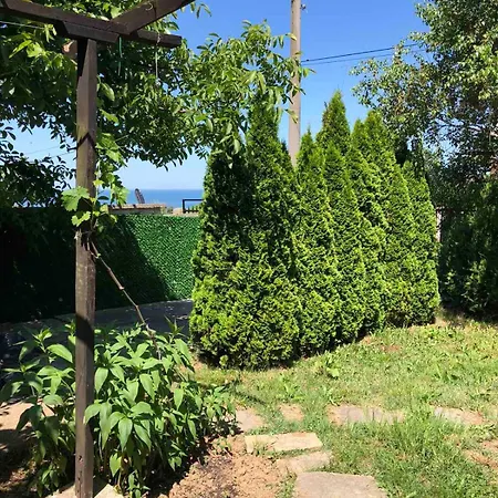 стела Sinemoretz