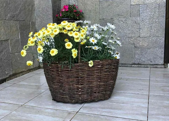 стела Vila Sinemorec