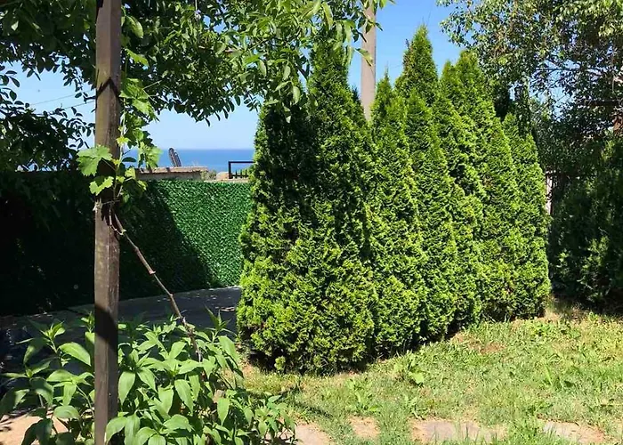 стела Sinemorec